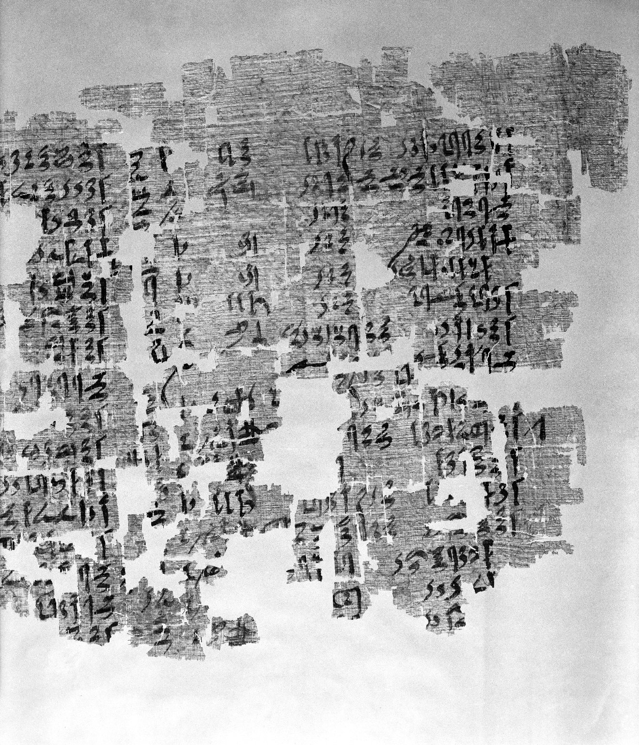 蒲草紙 埃及 Papyrus Brooklyn