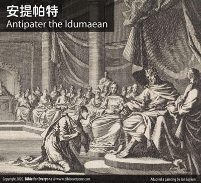 安提帕特 Antipater the Idumaean, 羅馬帝國：大希律家譜