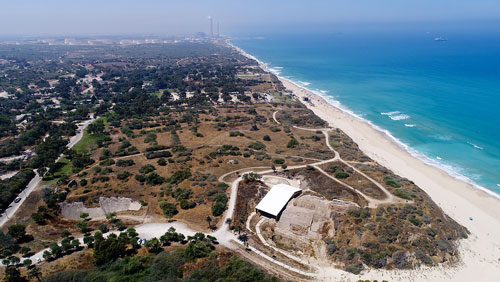 亞實基倫 Ashkelon (城市), 大衛國土的擴展