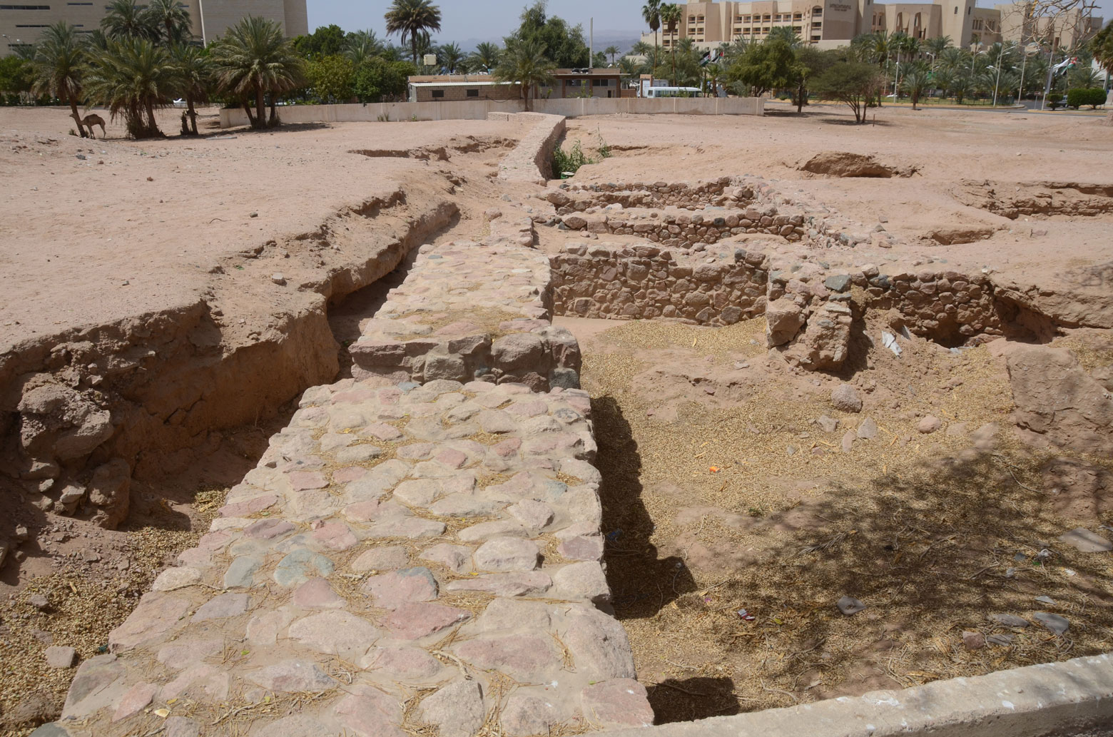 以旬迦別 Ezion-geber (城市), 摩西出埃及之旅